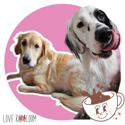 Buy us a cookie!
