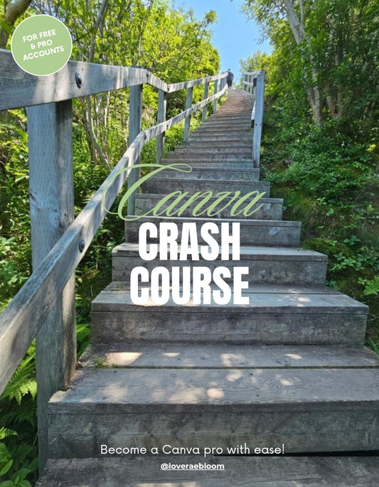 Canva Crash Course